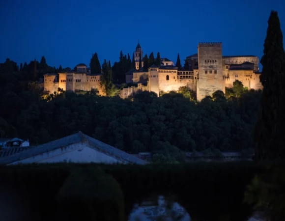 Night visit to the Alhambra: Generalife and Palace of Charles V with audioguide